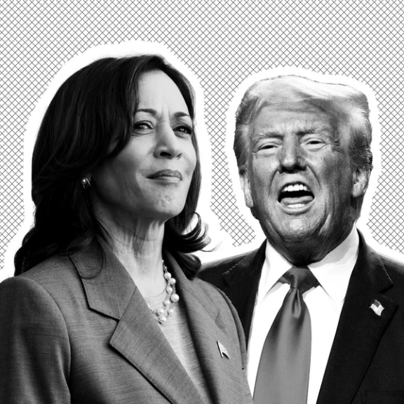 د افغانستان انټرنشنل نظرپوښتنه؛ ۵۳ ٪ ګډونوال وايي د امریکا ټاکنې پر افغانستان اغېز نه لري