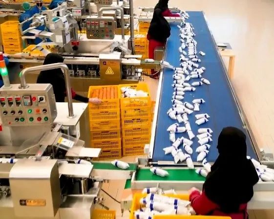 د خوړو نړۍوال پروګرام: هره ورځ له ۷۰۰ زرو زياتو افغان ماشومانو ته غذایي مواد وېشو  