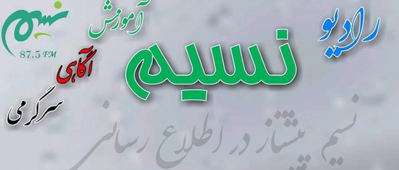 طالبانو په دایکنډي کې د نسیم راډیو د مدير په ګډون درې خبریالان نیولي