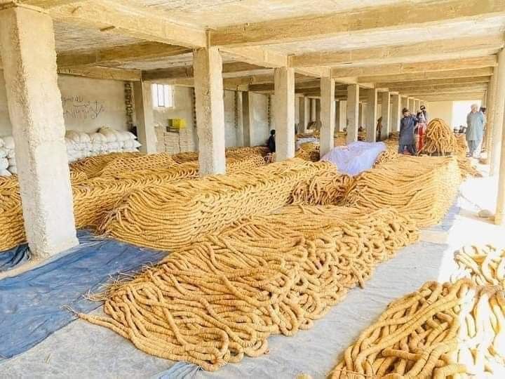 طالبان وايي له کندهار د څه باندې ۱۳۰ میلیون ډالرو په ارزښت انځر بهر ته صادر شوي