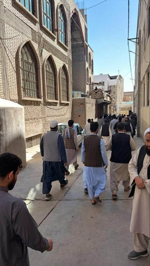 اتحادیه اروپا حمله به شیعیان در هرات را «هولناک» خواند