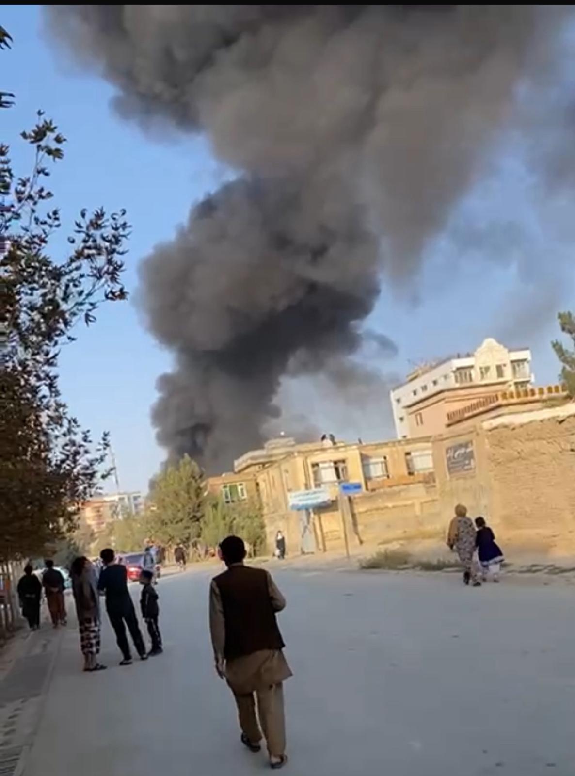 شهباز شریف می‌گوید ارتش پاکستان به حملات بی‌دلیل طالبان، پاسخ کوبنده‌ای داده است