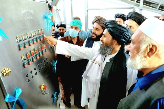 ملا برادر د کابل په استالف کې د ممیزو د پروسس کارخونه پرانېسته