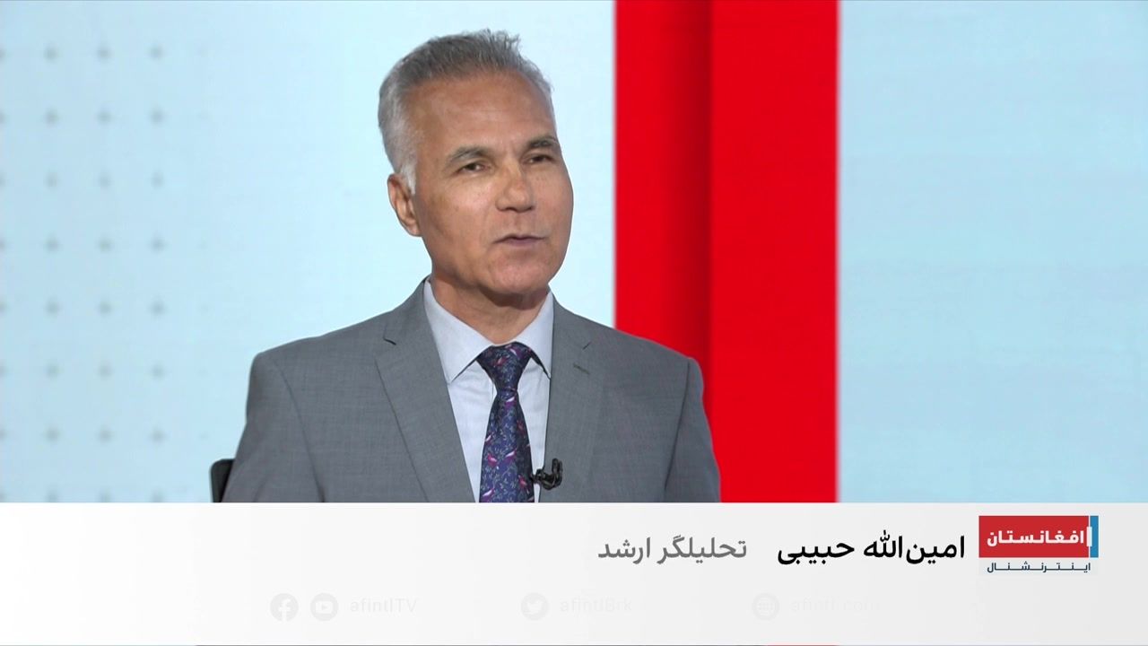 حبیبی: اتحادیه اروپا طالبان را به رسمیت نمی‌شناسد