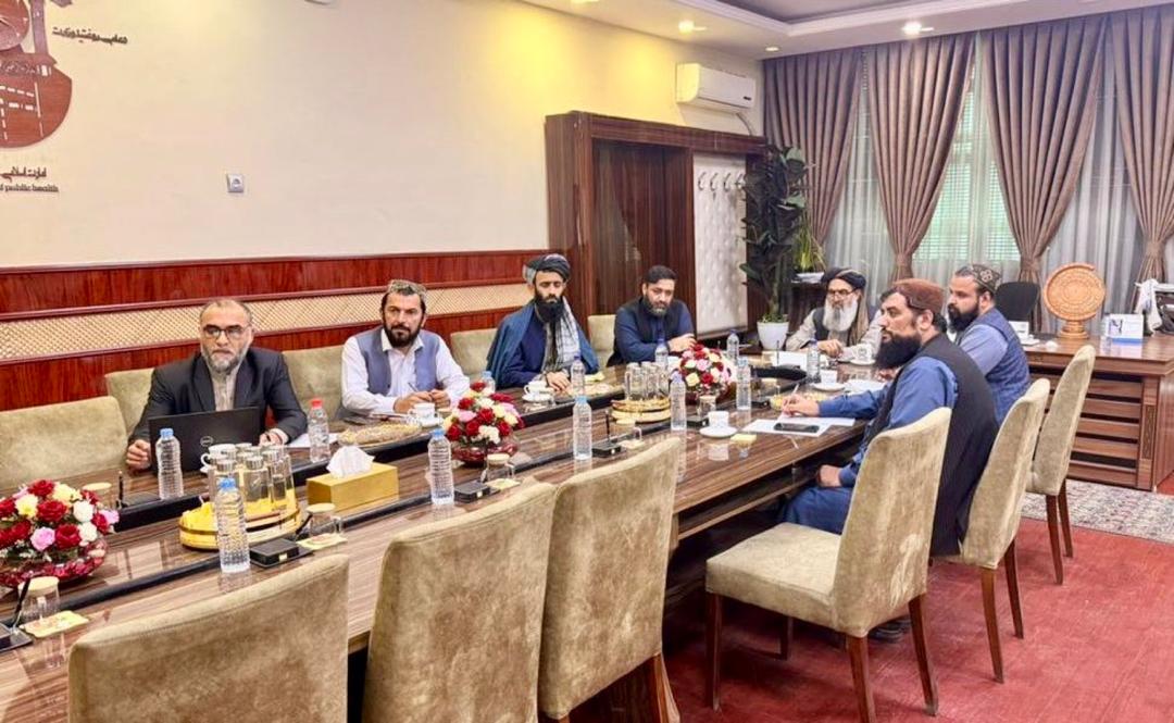 طالبانو له نړۍوالو بنسټونو سره د طبیعي پېښو او روغتیایي خدمتونو په اړه انلاین غونډه کړې