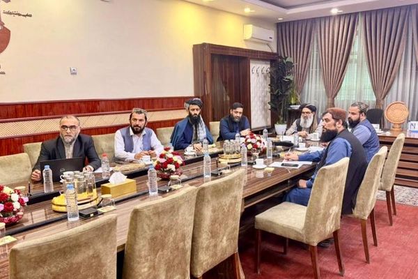 طالبانو له نړۍوالو بنسټونو سره د طبیعي پېښو او روغتیایي خدمتونو په اړه انلاین غونډه کړې