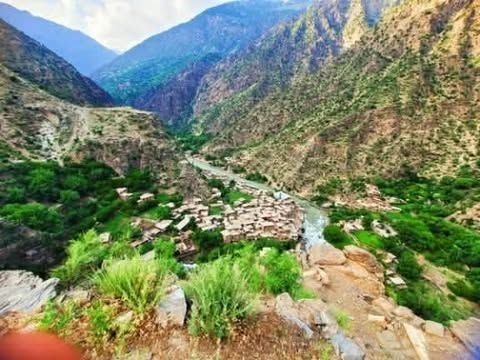 مصادر: طالبان تركت نقاط عسكرية حدودية في ثلاث مدیریات