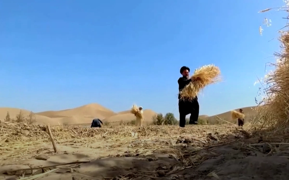یوناما نسبت به موج شدید گرما در افغانستان هشدار داد
