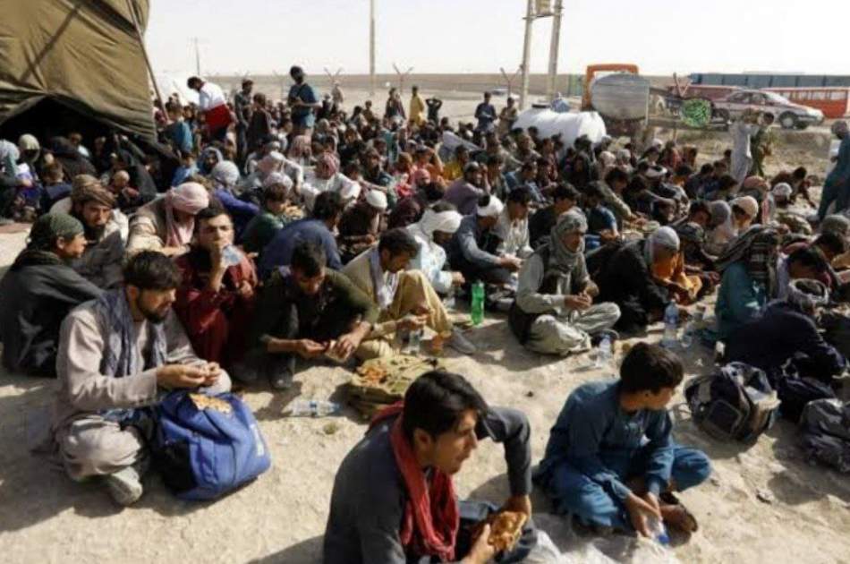 د طالبانو کډوالو وزارت: تر زرو زیات افغان کډوال له ایرانه په زور او خپله خوښه راستانه شوي