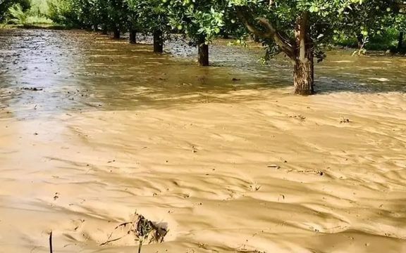 طالبان: سیلابهای اخیر در بامیان خسارات هنگفت مالی برجا گذاشت