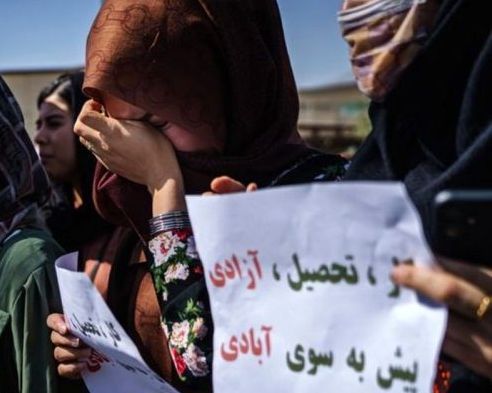 د بشري حقونو فعالانو ډونالډ ټرمپ ته په یو لیک کې د دوحې د تړون د لغوه کېدو غوښتنه کړې