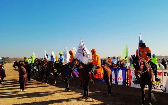 مراسم افتتاحیه رقابتهای انتخابی تیم ملی اسب سواری افغانستان در هرات برگزار شد