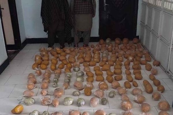 په هرات کې ۱۷۰ کیلو ګرامه نشه یي توکي نیول شوي