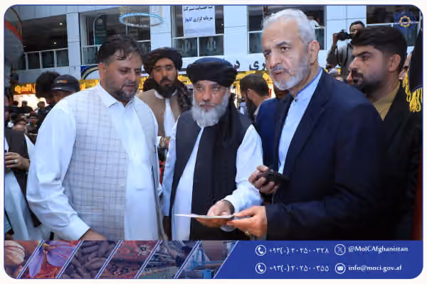 ۱۰۰ هزار نفر در افغانستان در بخش طلا مشغولاند