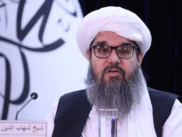 پخوانی دود؛ شهاب الدین دلاور د کانونو له وزارته خپل نژدې کسان افغان سره میاشت کې وګومارل