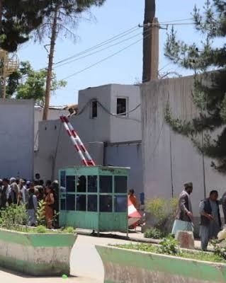 محافظان والی طالبان در فاریاب 'برای شکار پرنده' دست به سلاح بردند