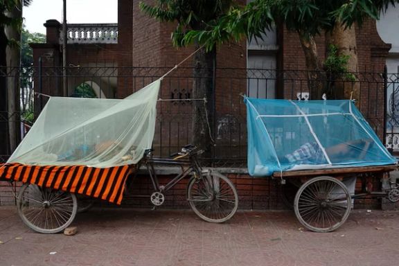 بنګله دېش کې د ډینګي ناروغۍ له امله تر سلو ډېر کسان مړه شوي دي