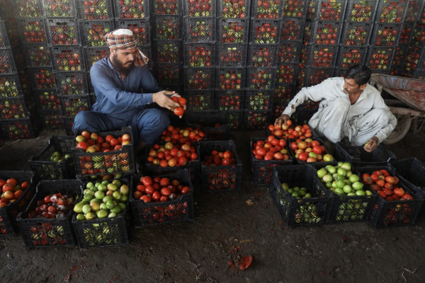 اقتصاد أفغانستان في 2025: خمسة صدمات وأزمة حقيقية