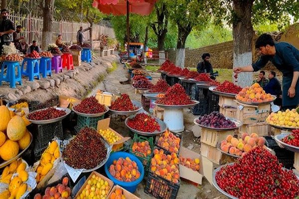د تازه مېوو موسم؛ یوشمېر افغانانو د تازه مېوو کارونې لپاره د خلکو د هڅونې کمپاین پیل کړی