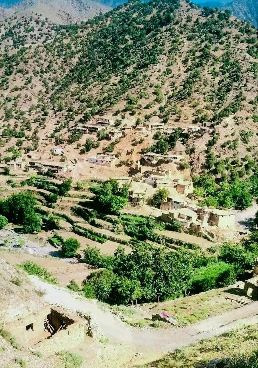 په ننګرهار کې د یوې ټرافیکي پېښې له امله ۹ کسان مړه او ۸ نور ټپيان شول