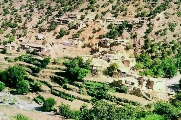 په ننګرهار کې د یوې ټرافیکي پېښې له امله ۹ کسان مړه او ۸ نور ټپيان شول