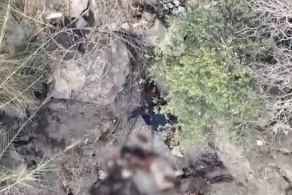 15 TTP Members Killed While Crossing From Afghanistan, Says Pakistan
