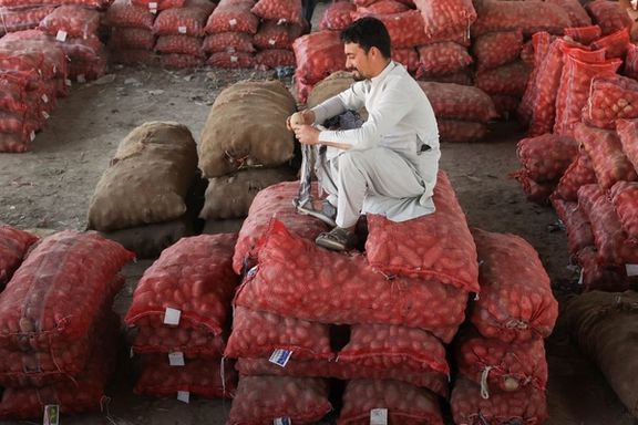 Pak–Afghan Trade Falls Below $1 Billion Amid Prolonged Border Closures