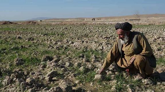 په افغانستان کې د ورښتونو کمښت د اوبو رسونې او کرنې برخې لپاره جدي اندېښنې راولاړې کړې