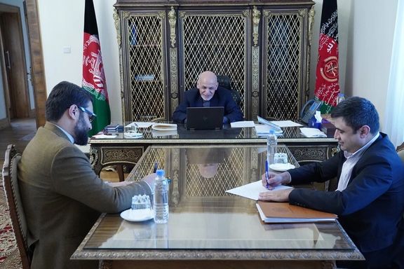 طنز سیاسی؛ این موسیچه بیگناه و ما ملت ناسپاس