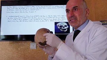 طالبان از بازداشت سه تن به اتهام ربودن داکتر فواد پیرزاد خبر داد