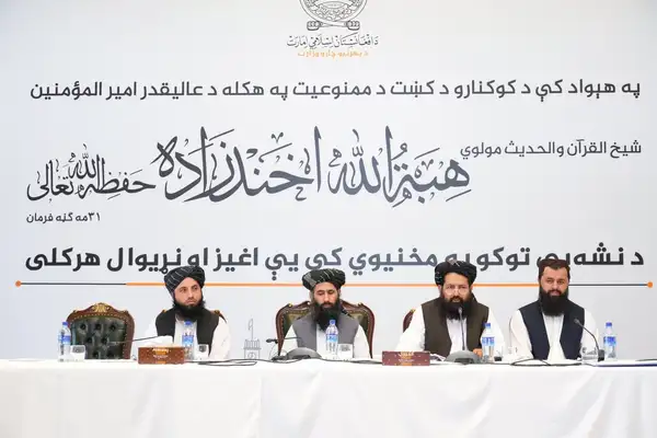 طالبانو د کوکنارو د کښت د بندیز د فرمان پر جدي پلي کېدو ټینګار وکړ