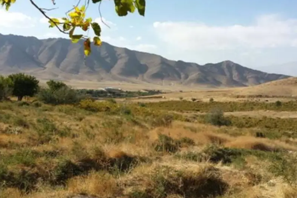 2 Taliban Members Killed And 4 Injured in Bagram Attack, Claims AFF