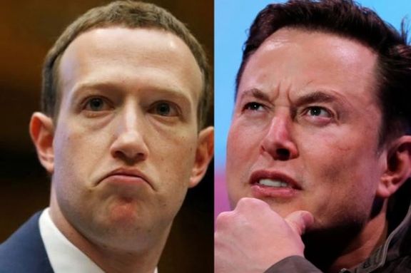 مبارزه داخل قفس؛ ایلان ماسک و زاکربرگ همدیگر را به مبارزه تن به تن فرا خواندند