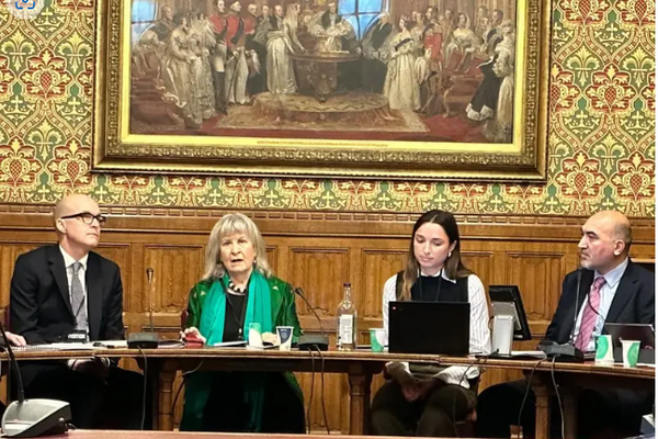 Formation of Democratic Gov. Discussed in The British Parliament, Says Former Afghan Amb.