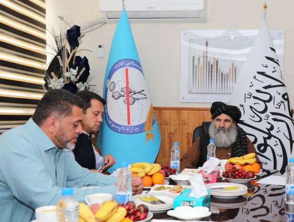 طالبان تطلب من الأمم المتحدة دعم المزارعين عبر سبل العيش البديلة
