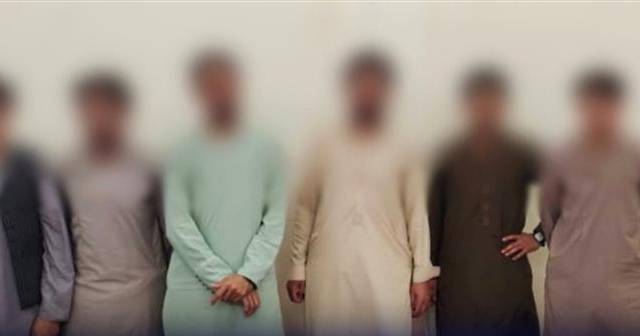 په خوست کې د جوارو پر شنه فصل د زهرجنې دوا پاشلو په تور شپږ کسان نیول ...