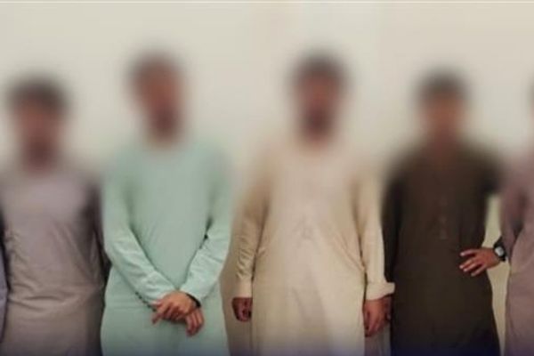 په خوست کې د جوارو پر شنه فصل د زهرجنې دوا پاشلو په تور شپږ کسان نیول شوي