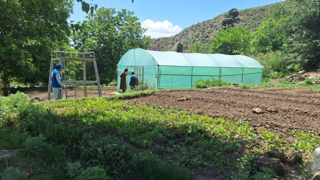 طالبان وایي تخار کې د بزګرانو د اقتصادي پیاوړتیا لپاره ۵۵ نوې شنې خونې جوړې شوې