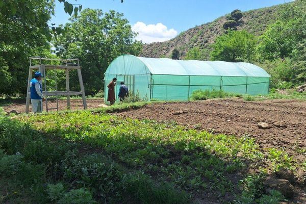 طالبان وایي تخار کې د بزګرانو د اقتصادي پیاوړتیا لپاره ۵۵ نوې شنې خونې جوړې شوې