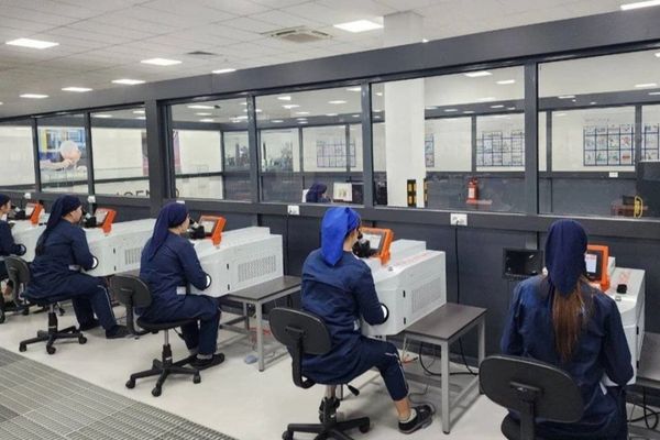 د ازبکستان سرخان دریا ولایت د افغانستان د سرو زرو پروسس پیل کړی