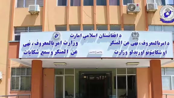 طالبانو په بامیان او دایکنډي ولایتونو کې ۲۳۵ رواني ناروغان ټول کړي دي