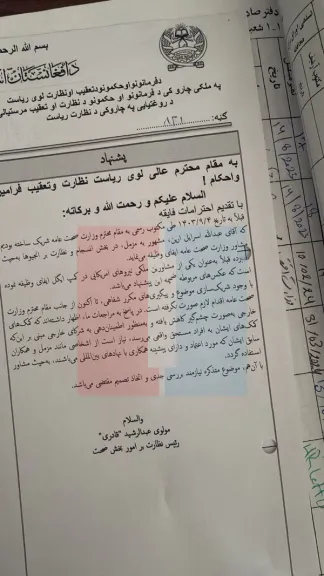 سند؛ طالبانو د بهرنیو مرستو راجلبولو لپاره د امریکا پخواني مشاورین په وزارتونو کې ګومارلي