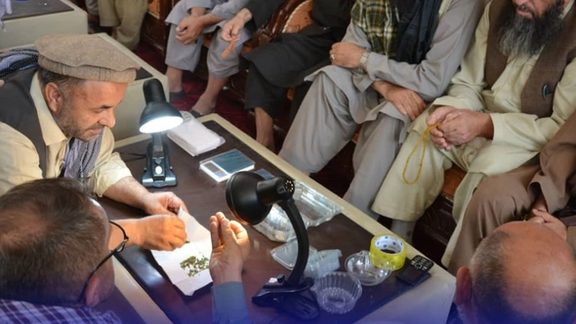 طالبانو په پنجشېر کې ۱۳۱ زره ډالرو په ارزښت زمرد پلورلي دي