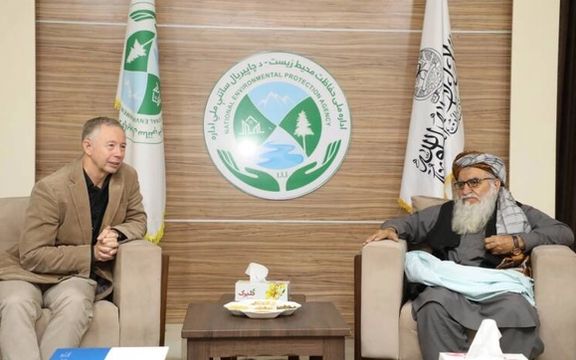 د سره صلیب نړۍواله کمیټه: د اقلیمي بدلون سره د مبارزې لپاره له افغانستان سره مرسته کوو