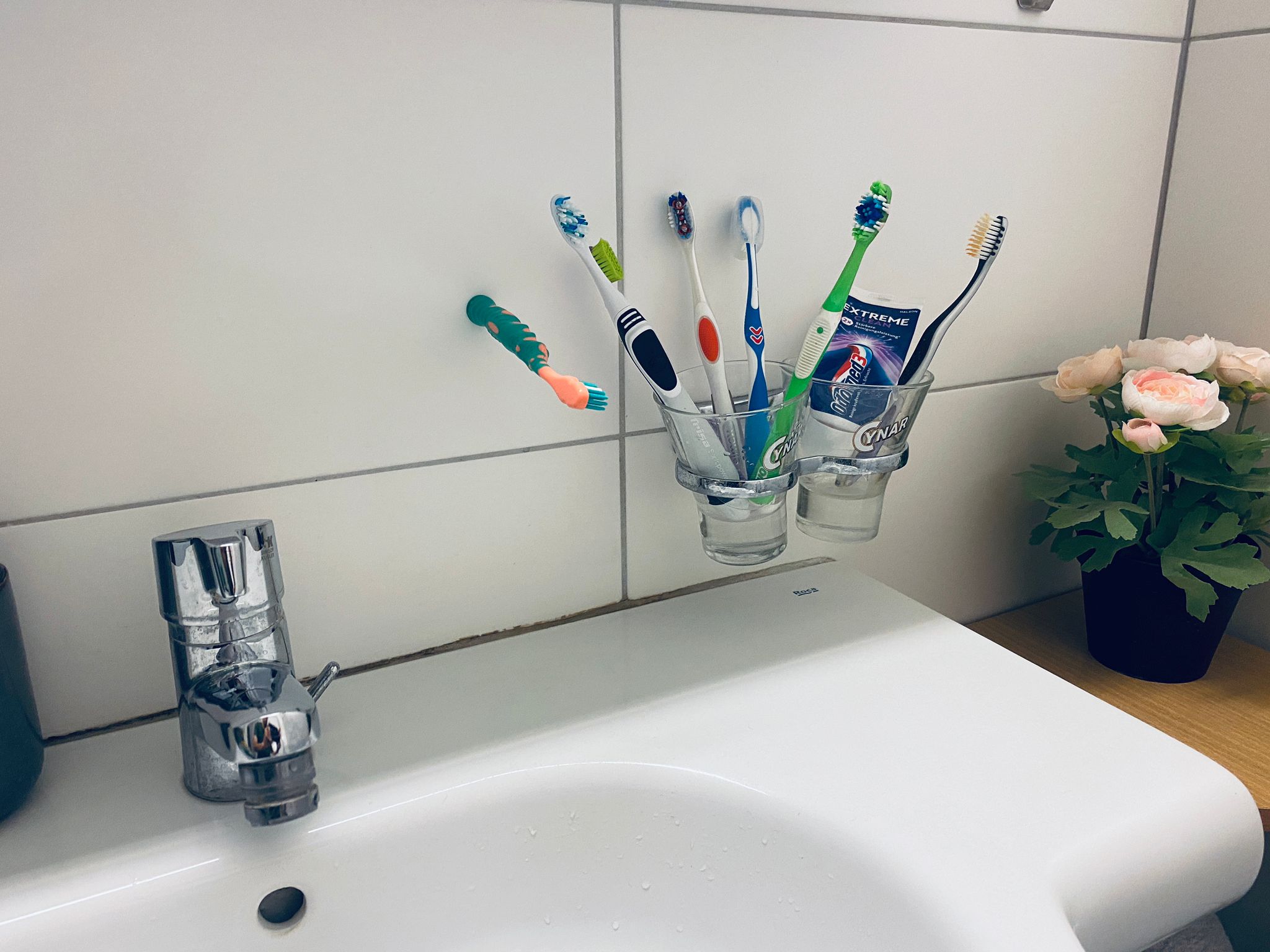 ویروس‌های نجات‌دهنده در مسواک و سر دوش حمام