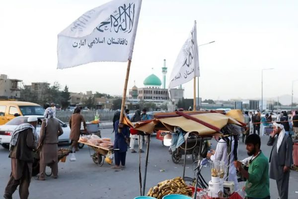 Over 600 Foreign Citizens Granted Work Permits, Claims Taliban