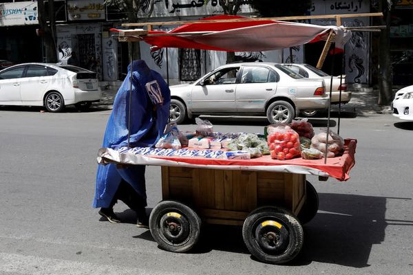 برنامه جهانی غذا: نرخ بیکاری و بهای مواد غذایی افزایش یافته است