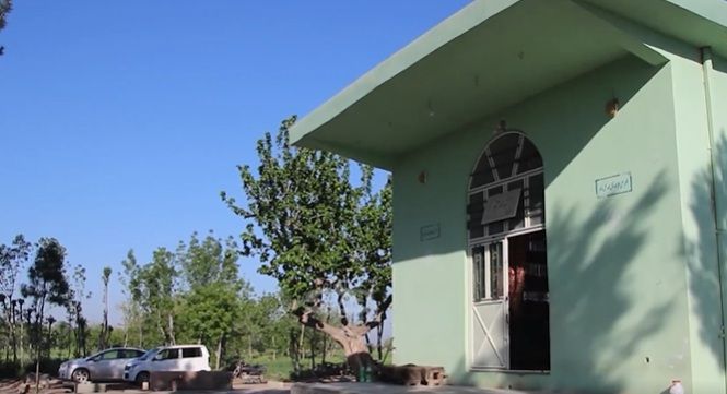 روایت تکان‌دهنده شاهدان عینی از حمله مسلحانه به شیعیان در هرات