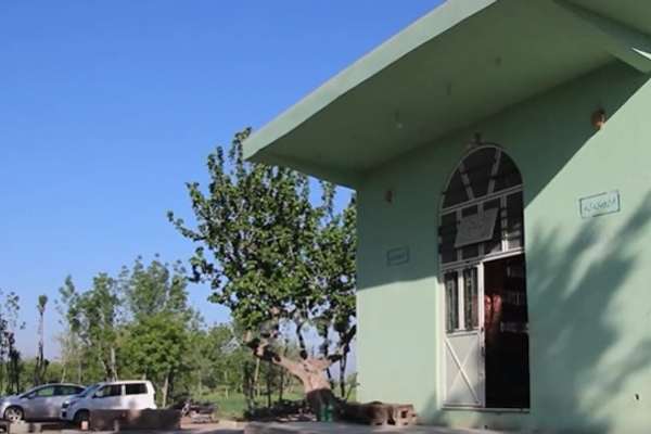 Witnesses Describe Deadly Attack On Shia Civilians In Herat