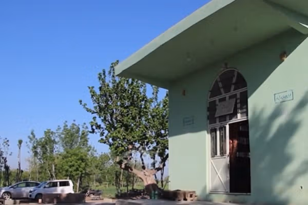 Witnesses Describe Deadly Attack On Shia Civilians In Herat